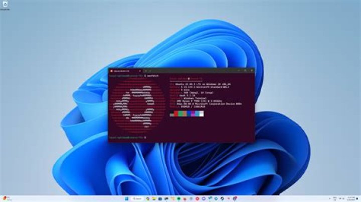Is Windows 11 bloated?