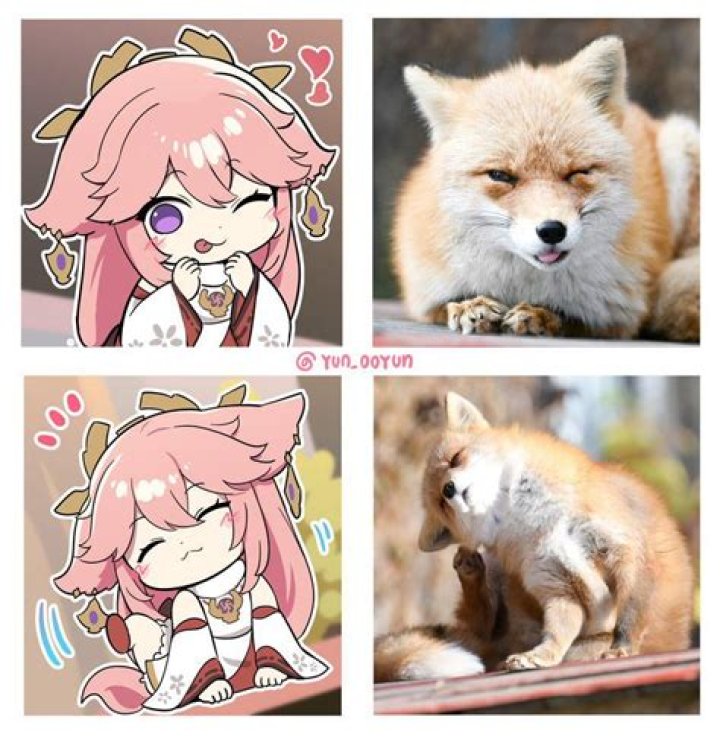 Is Yae Miko human or Fox?