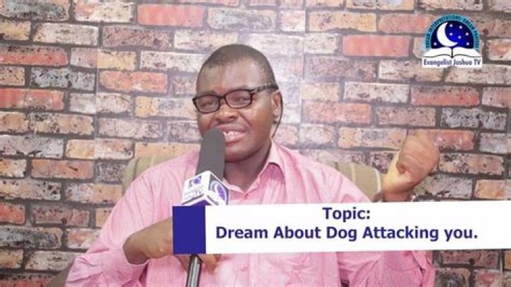 Is yelling at your dog abuse?