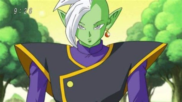 Is Zamasu good or evil?