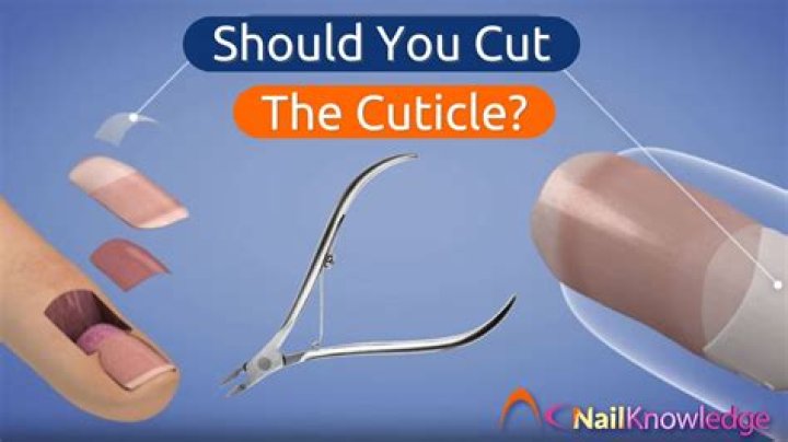 Should cuticles be cut?