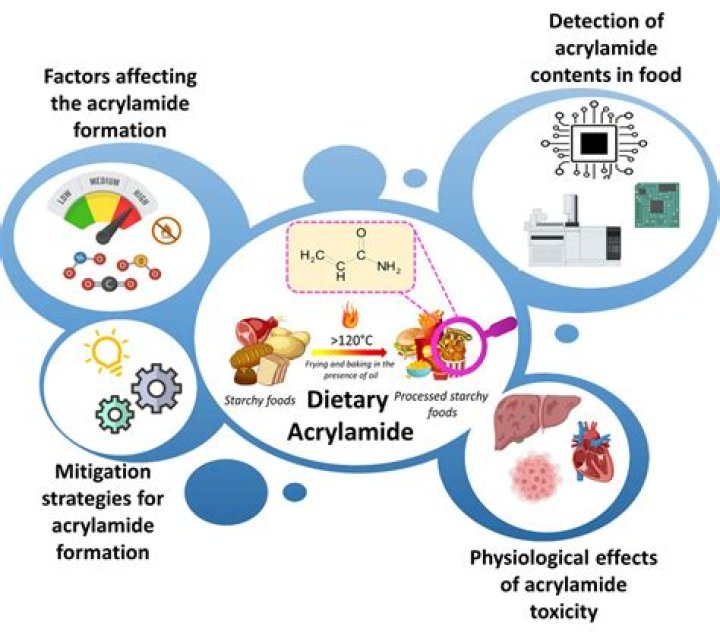 Should I avoid acrylamide?