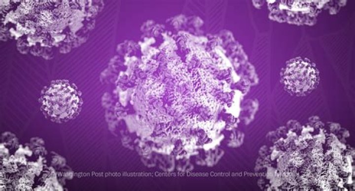 Should I be worried about the coronavirus disease symptoms?