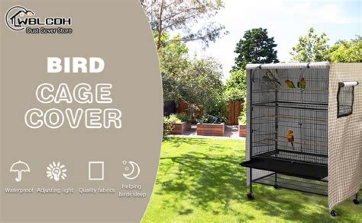 Should I put a blanket over my birds cage at night?