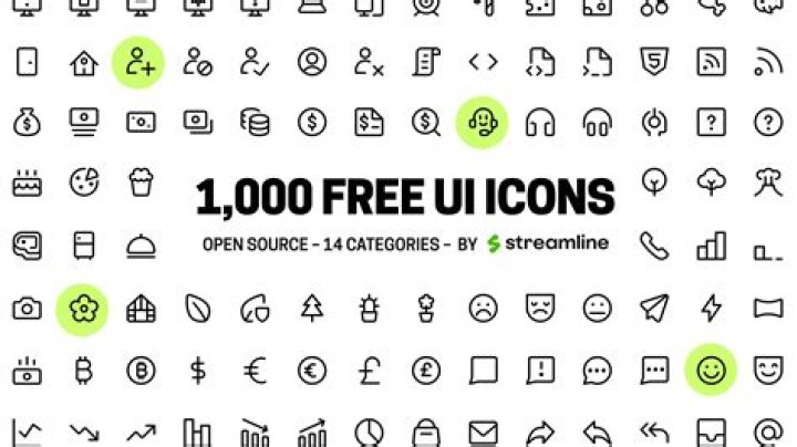 Should I use PNG or SVG?