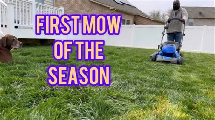 Should you bag the first mow of the year?