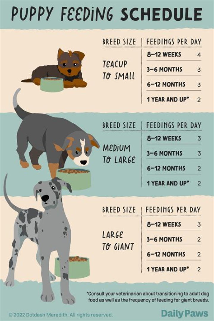 Should you feed on both sides each feed?