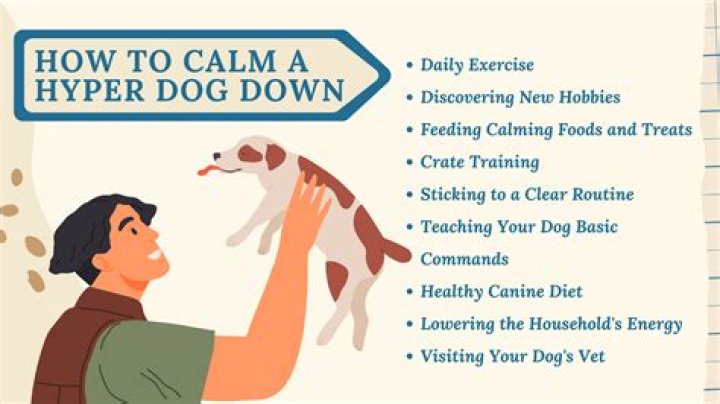 Should you pin a puppy down?