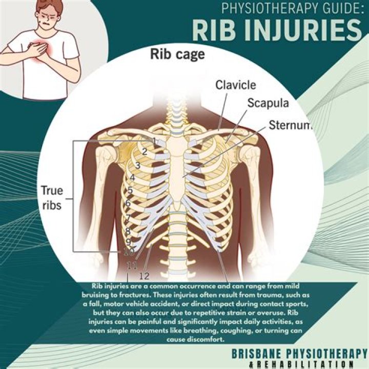 Should you see ribs on a deer?