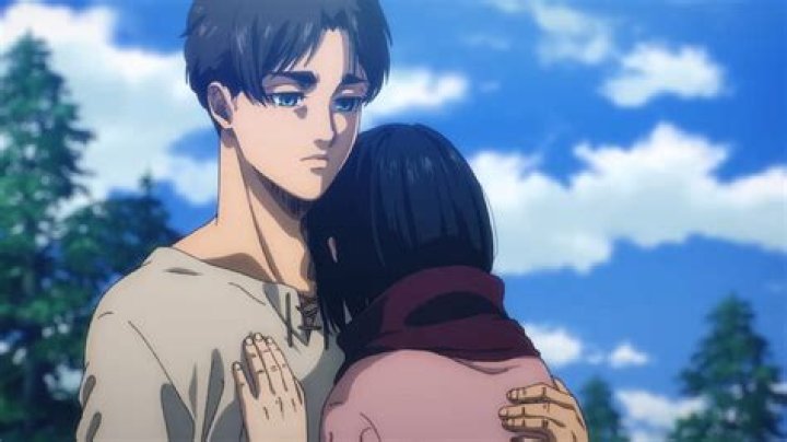 Was Mikasa's mom pregnant?
