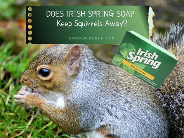 What animal eats Irish Spring soap?