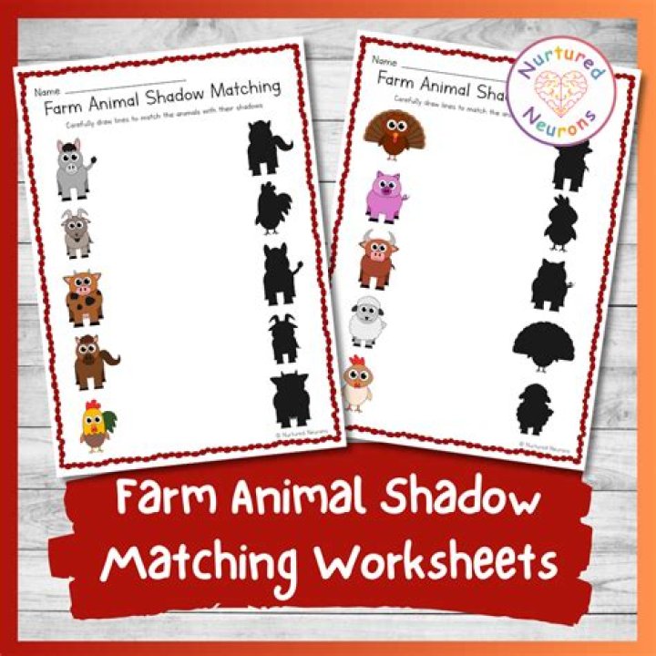 What animal is Shadow?