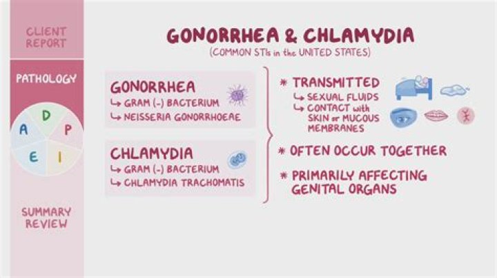 What antibiotic kills gonorrhea?