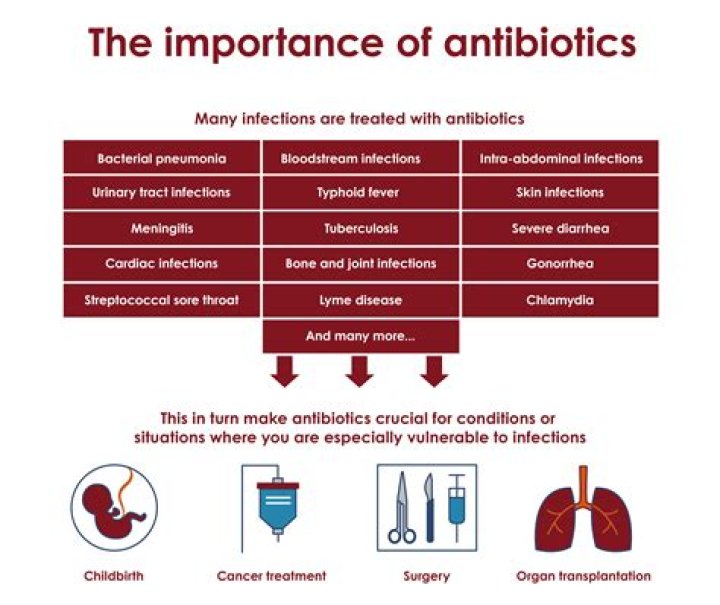 What antibiotics treat wound infections?