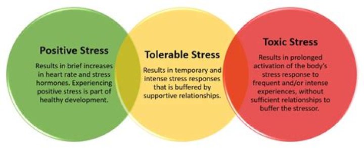 What are 3 examples of positive stress?