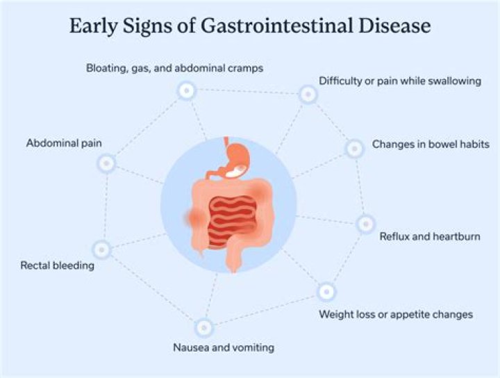 What are 4 clinical signs of gastrointestinal disease?