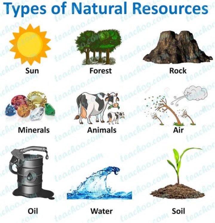 What are 5 natural things?