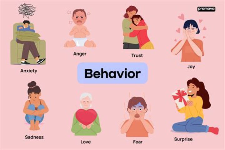 What are examples of behaviors?