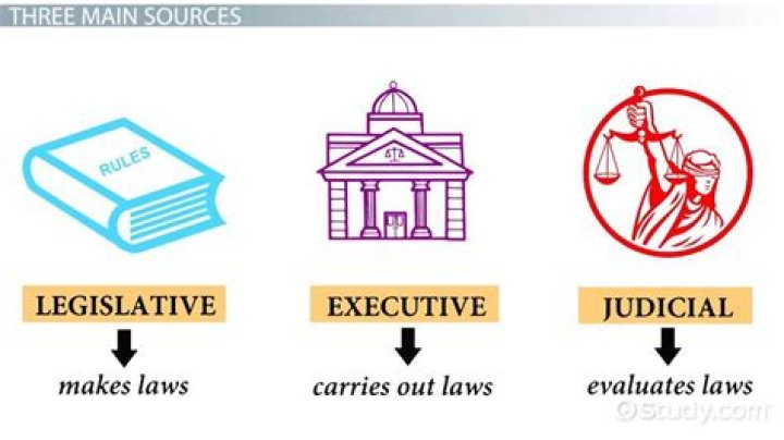 What are some examples of administrative law?