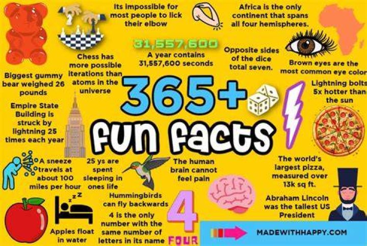 What are some fun facts about volleyball?