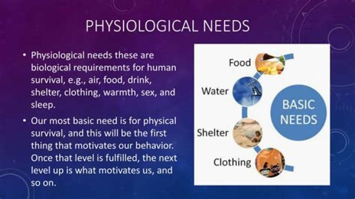 What are the 4 physiological needs?