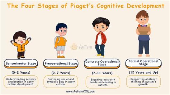 What are the 4 stages of OCD?