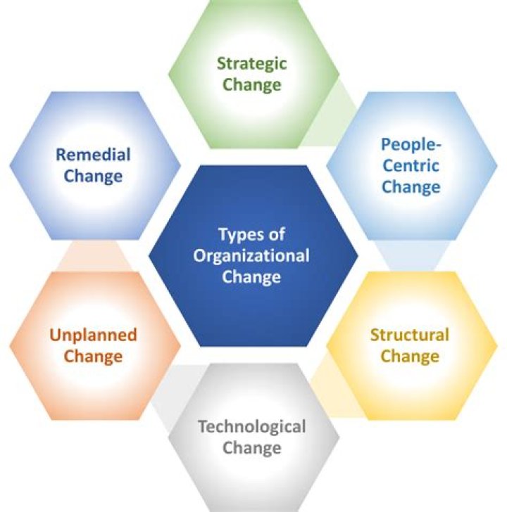 What are the 5 organizational strategies?