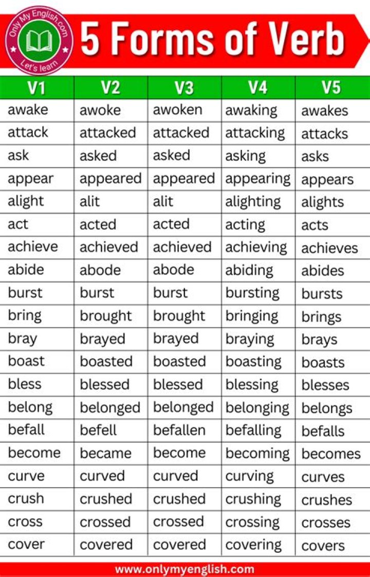 What are the 5 verbs?