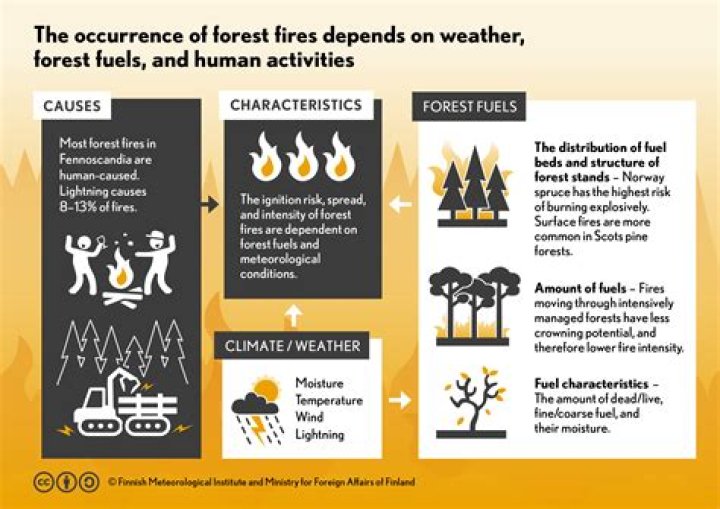 What are the causes and effects of fire?