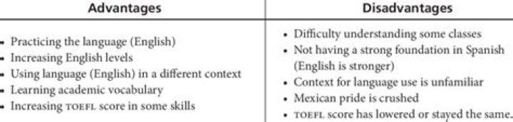 What are the disadvantages of English language?
