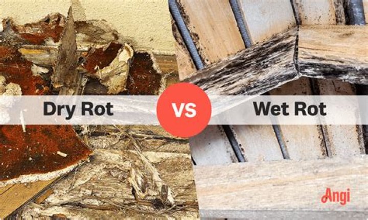 What are the first signs of dry rot?