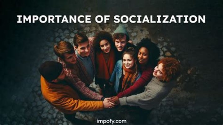 What are the four importance of socialization?