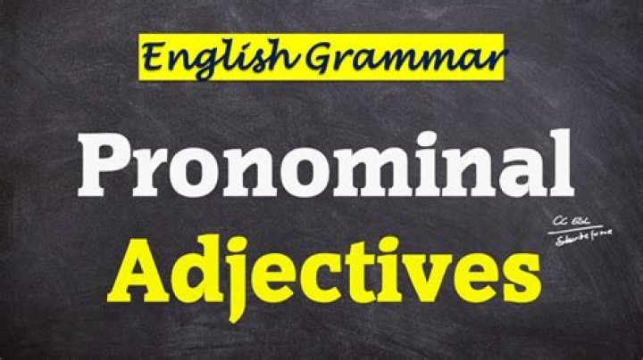 What are the pronominal adjectives?