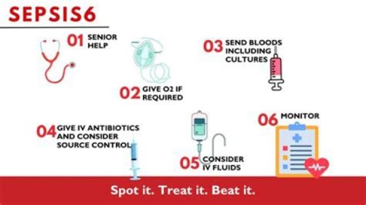 What are the six steps of sepsis?
