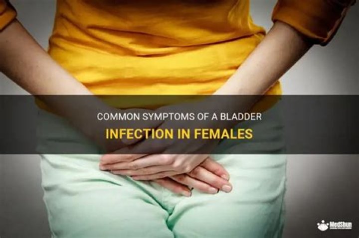 What are the symptoms of a bladder infection in females?