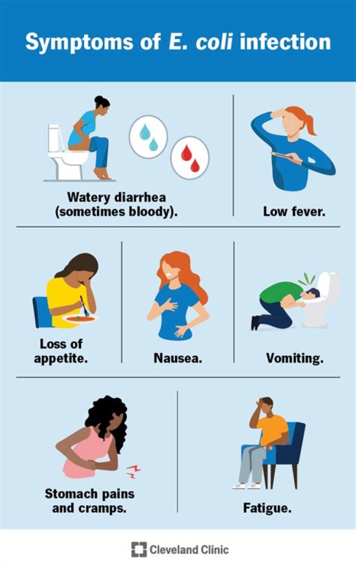 What are the symptoms of E. coli?