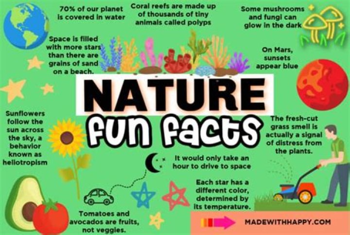 What are three fun facts?