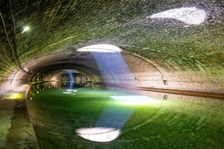 What are tick tunnels?