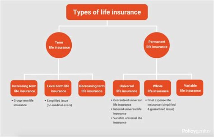 What are two types of life insurance?