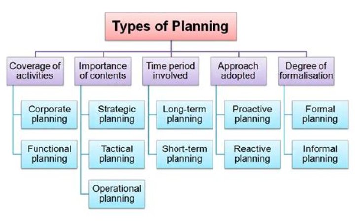 What are types of planning?
