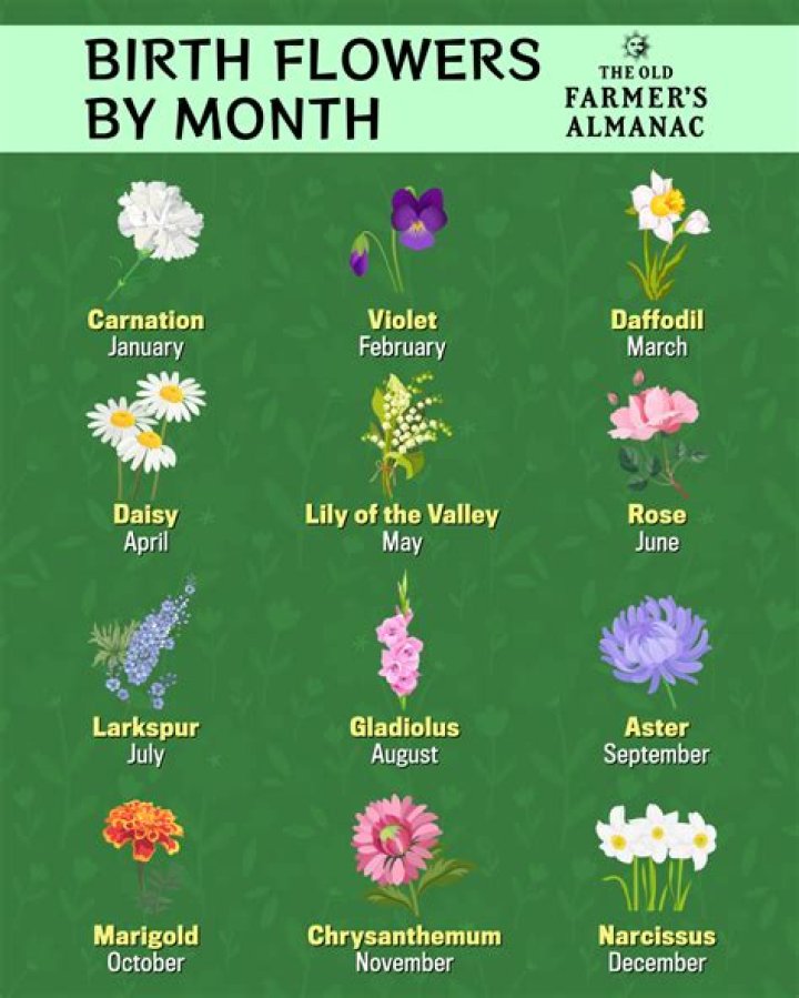 What birth month lives the shortest?