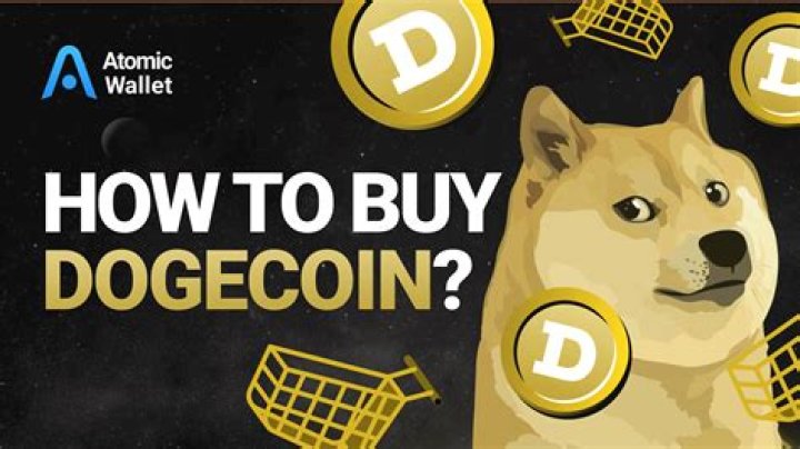 What can Dogecoin buy?
