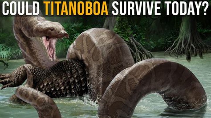 What can eat a Titanoboa?
