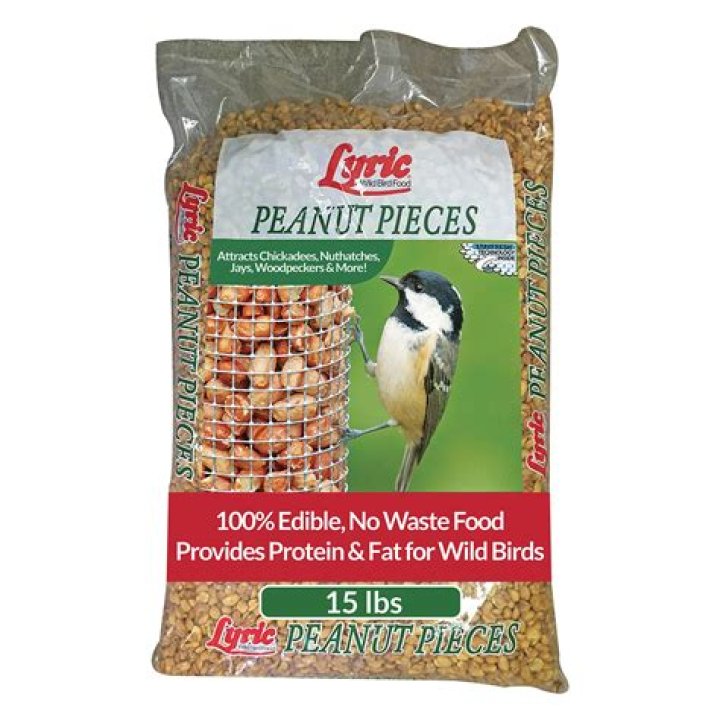 What can I feed birds if I have no bird seed?