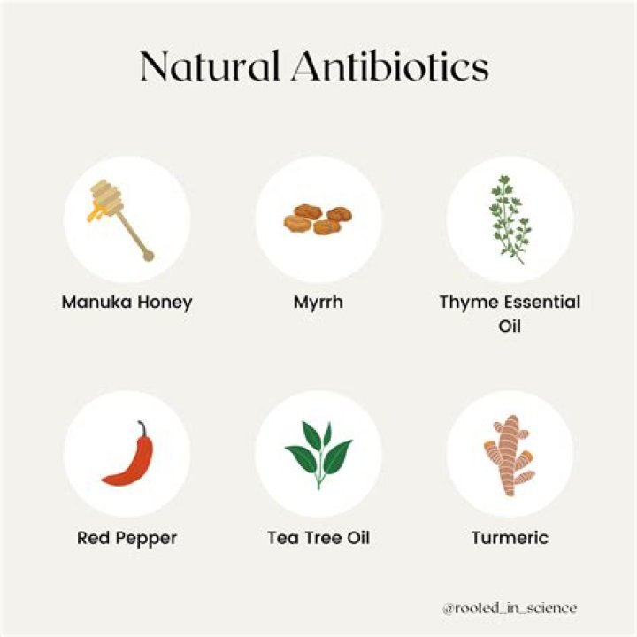 What can I use for a natural antibiotic?