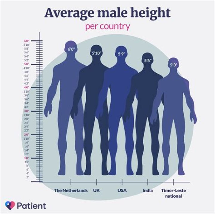 What can the average person bench?