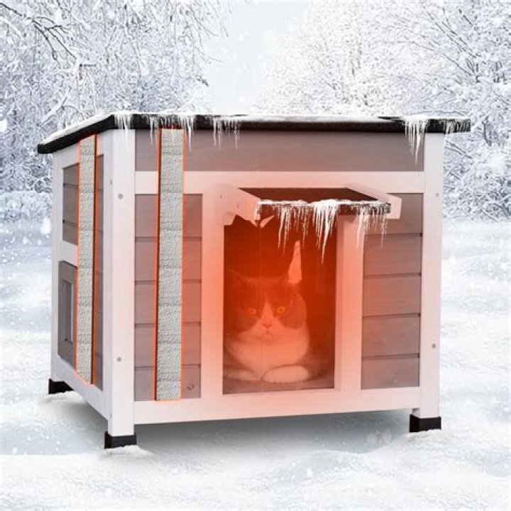 What can you put in a dog house to keep it warm?