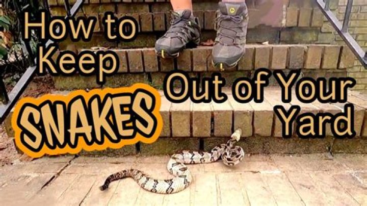 What can you put out to keep snakes away?