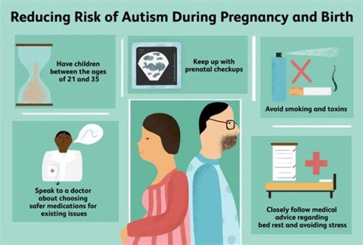 What causes autism in pregnancy?