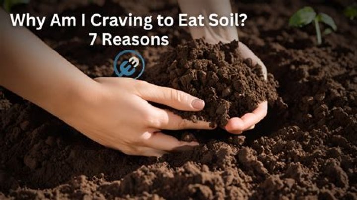 What causes craving to eat soil?